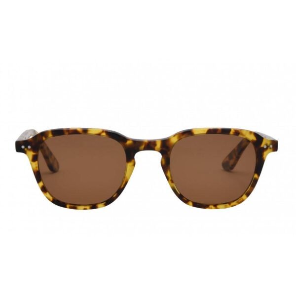 I-Sea Sawyer - Tort / Brown Polarised